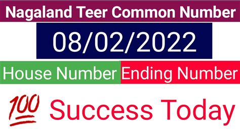 nagaland teer common number today